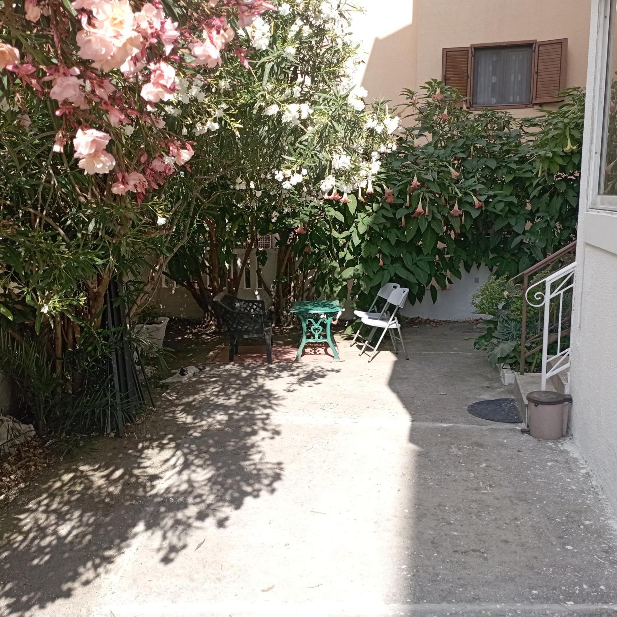 Summer Near Sea Appartement